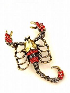🌺Scorpion Brooch Gold and Red Scorpion Accessories Jewelry Zodiac Gifts